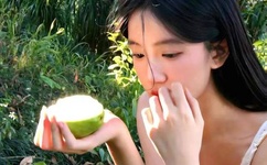 爱的蜜方电视剧全集